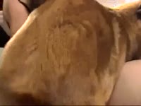 [ Beastiality Sex Movie ] Wound up fresh-faced tramp getting her slit screwed wonderful by a dog in this beastiality video